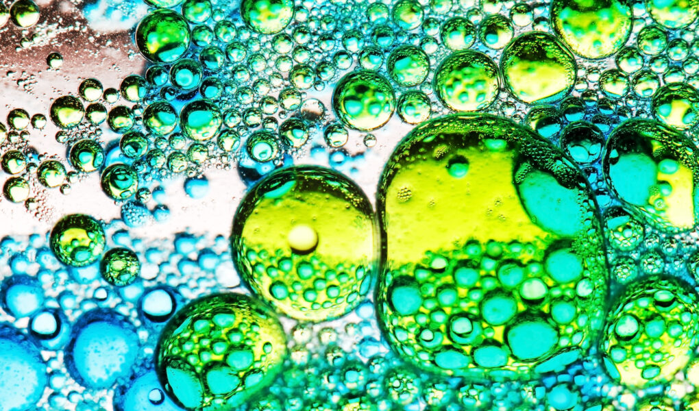 IND-Enabling programs for adoptive cell therapies