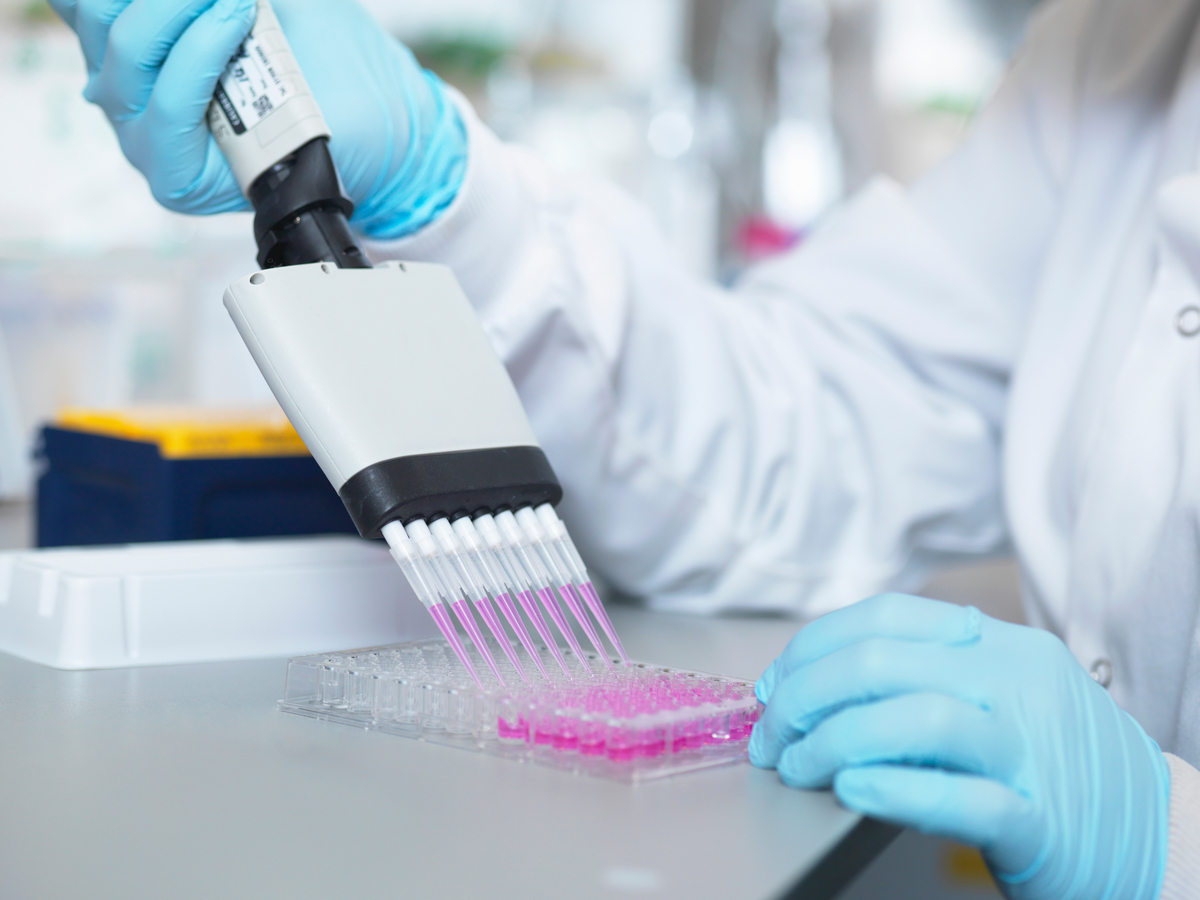 Scientist hovering pipette over a tray 