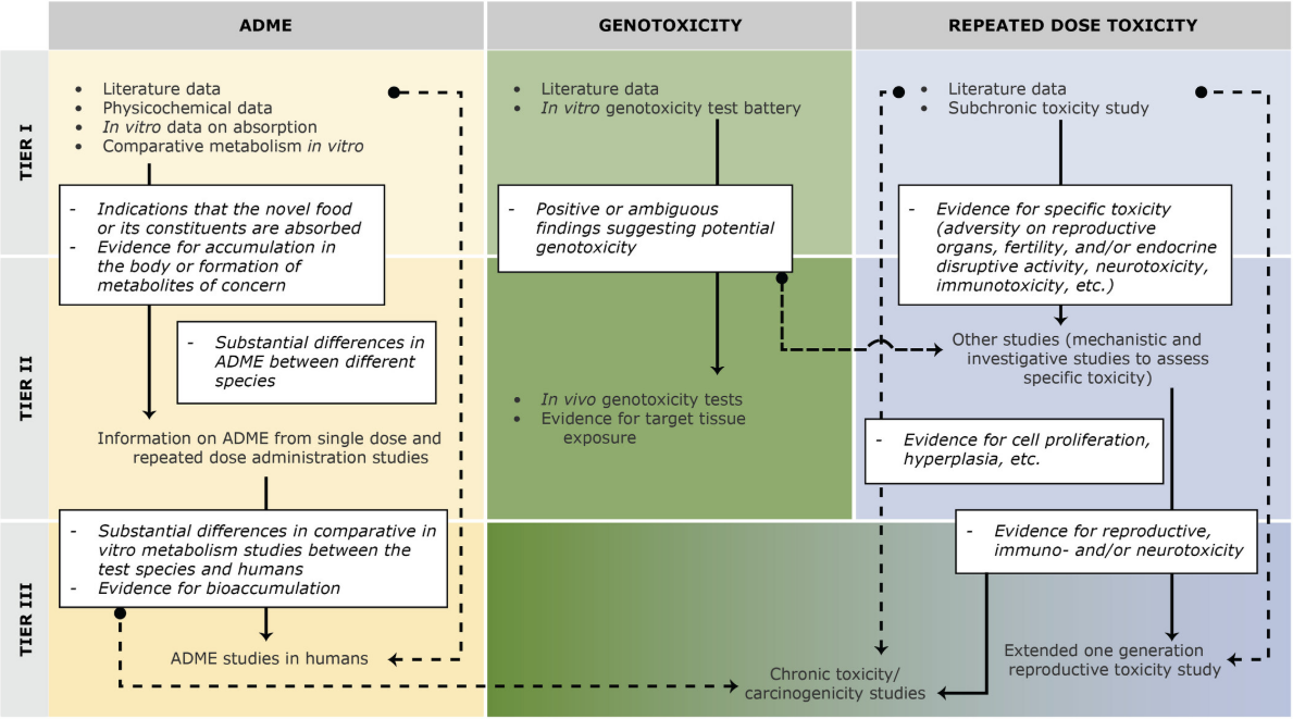 The image is a structured flowchart outlining a tiered approach to assessing ADME (Absorption, Distribution, Metabolism, and Excretion), Genotoxicity, and Repeated Dose Toxicity. It is divided into three main columns, each representing one of these aspects, and further organized into three tiers. In the ADME section, the first tier includes literature data, physicochemical data, in vitro absorption data, and comparative metabolism studies. The key focus at this stage is identifying whether a novel food or its constituents are absorbed, with evidence for accumulation in the body or the formation of concerning metabolites. The second tier assesses substantial differences in ADME between species, incorporating information from single and repeated dose administration studies. The third tier examines differences in in vitro metabolism between test species and humans, looks for evidence of bioaccumulation, and may involve ADME studies in humans. The Genotoxicity section starts with literature data and an in vitro genotoxicity test battery in the first tier. The primary consideration here is whether positive or ambiguous findings suggest potential genotoxicity. If needed, the second tier moves to in vivo genotoxicity tests targeting relevant tissues. The third tier, in cases where further evaluation is required, leads to chronic toxicity and carcinogenicity studies. The Repeated Dose Toxicity section begins with literature data and subchronic toxicity studies in the first tier, focusing on identifying evidence for specific toxicity, such as effects on reproductive organs, fertility, endocrine function, neurotoxicity, and immunotoxicity. The second tier involves mechanistic and investigative studies to assess specific toxic effects, including cell proliferation and hyperplasia. The third tier evaluates evidence of reproductive, immune, or neurotoxicity, potentially leading to extended one-generation reproductive toxicity studies or chronic toxicity and carcinogenicity studies. The flowchart uses arrows and dashed lines to indicate the relationships between different evaluation stages, illustrating how findings in one tier may lead to further testing or escalate to higher-tier assessments.