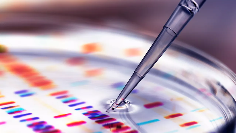 Scientist holding a pipette while extracting a specimen